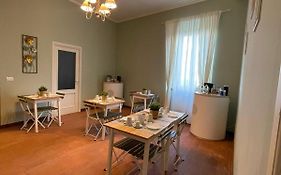 B&B Home XIX